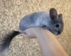 4 мес