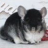 Киано