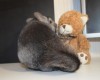 10месяцев