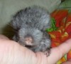 29 июня 18г
