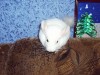 5 месяцев