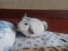 2 мес