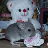 Конфета 