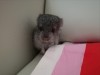 03.08.2018