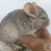 Яся Лукасовна
