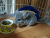 09.08.2018