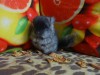 1 мес