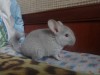 2 мес