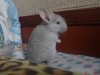 2 мес