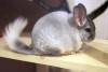22/03/11