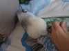 2 мес