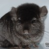 Шурик