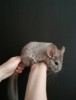 11.07.2017