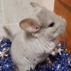 Фенечка