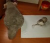 Принц с сыновьями-первенцами