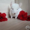 Мармелад