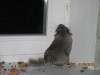 1 мес и 10 дней