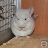 Юна
