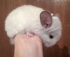 1 мес