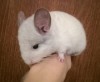 1 мес
