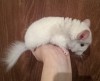 1 мес
