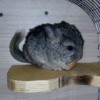 Наоми
