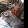 Марфа Васильна н нем