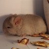Джон