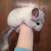 5 мес 