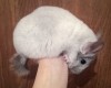 5 мес 