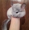 5 мес 