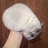 5 мес 
