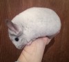 5 мес 