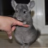 Космос