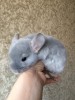 1,5 мес