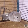 Эмма