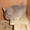 Порш