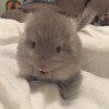 Космонавт