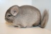 27.01.2019