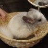 Федор