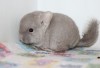 09.11.18