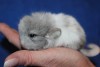 05 09.18.