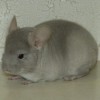 Луна