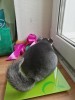 16.04.2019