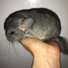 Вано