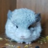 Юпитер