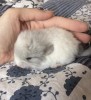 3 дня