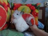 4 мес