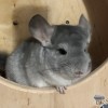 Уна