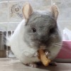 Канзас